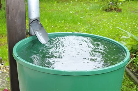 Zbieraj wodę dzięki między innymi specjalnym "zbieraczom" deszczowej wody 2023